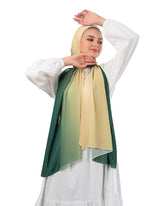Gradient Chiffon Scarf